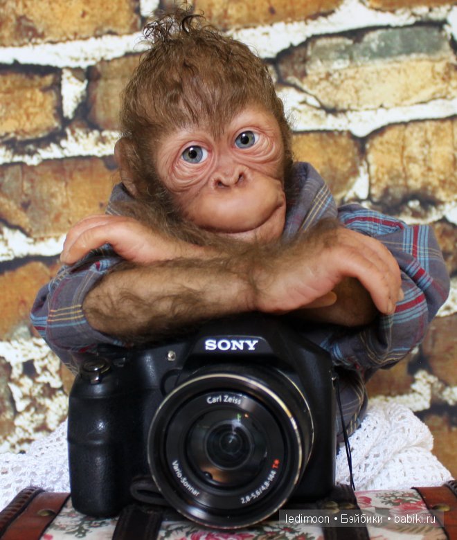 Рафаэль. Куклы реборн Елены Ядриной