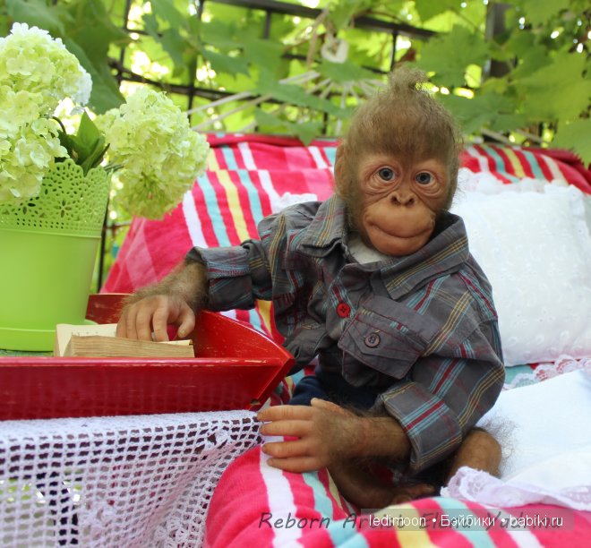 Рафаэль. Куклы реборн Елены Ядриной