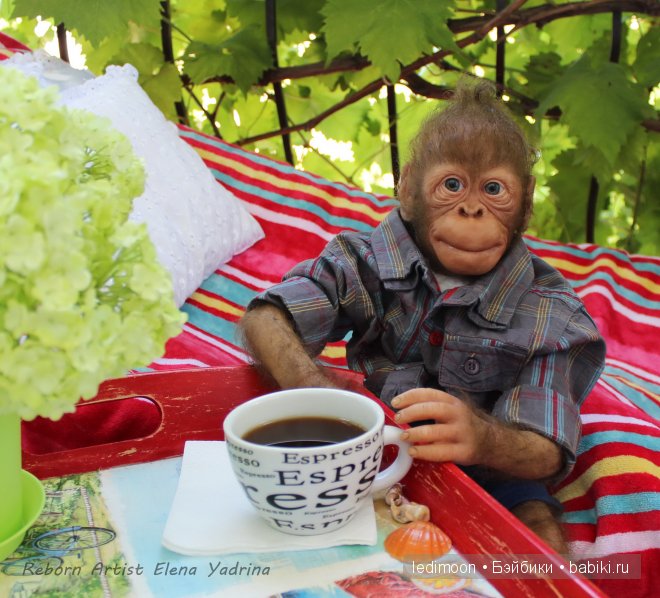 Рафаэль. Куклы реборн Елены Ядриной