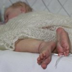 Serenity. Куклы реборн Елены Ядриной