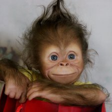 Обезьянка Бинди. Куклы реборн Елены Ядриной