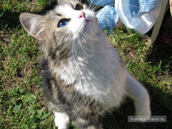 Весна весна на улице весенние деньки! Мои коллекционные куклы