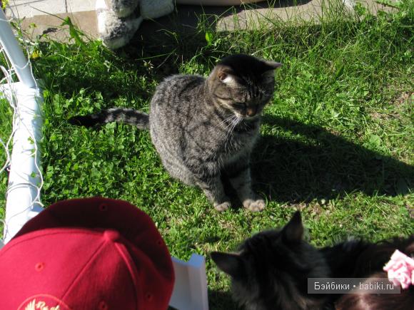 Весна весна на улице весенние деньки! Мои коллекционные куклы