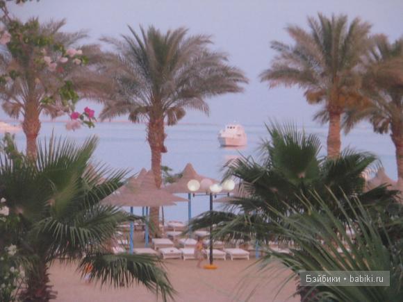 Восточные танцы ;)Мои куклы от LEE MIDDLETON BY REVA и FAYZAH SPANOS (фото 5)