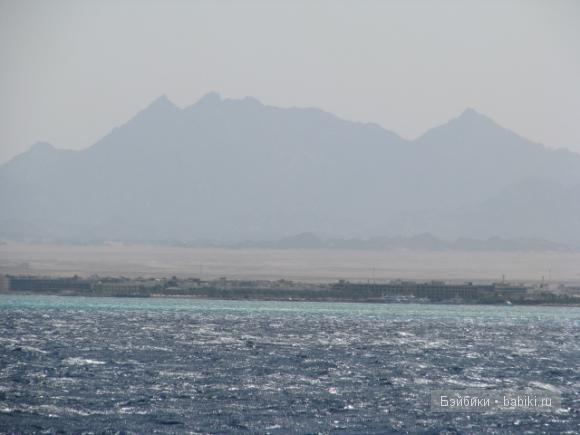 Восточные танцы ;)Мои куклы от LEE MIDDLETON BY REVA и FAYZAH SPANOS (фото 2)