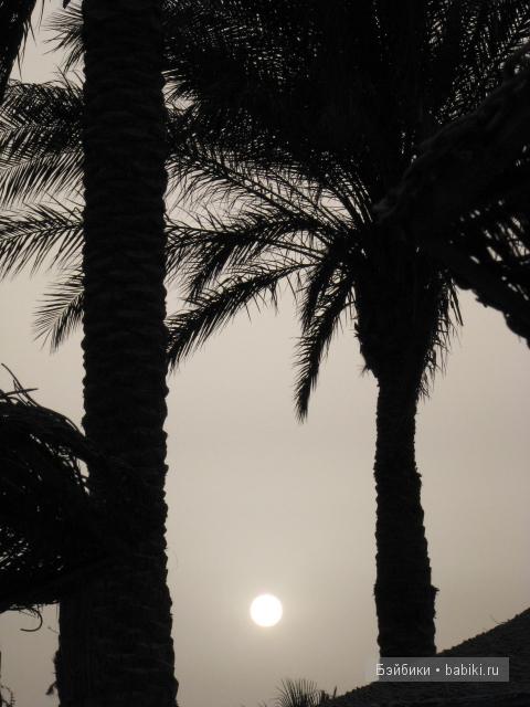 Восточные танцы ;)Мои куклы от LEE MIDDLETON BY REVA и FAYZAH SPANOS (фото 3)