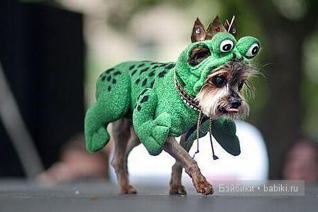 Любителям вязалочек посвящается