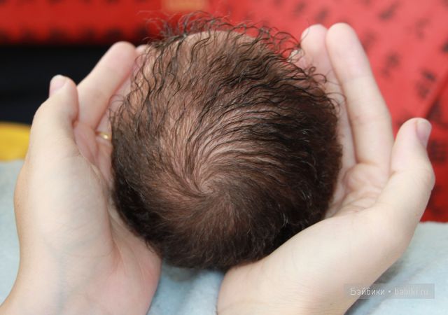 Малыш Мишка(Мишонок) - кукла реборн молд от Marita Winters