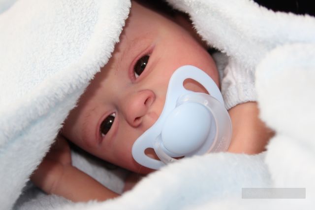 Малыш Мишка(Мишонок) - кукла реборн молд от Marita Winters