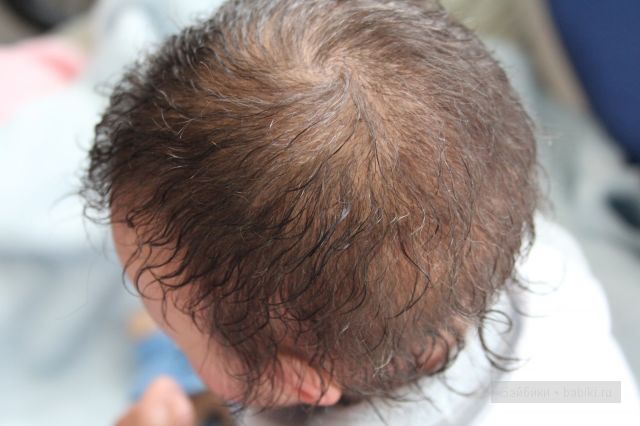 Малыш Мишка(Мишонок) - кукла реборн молд от Marita Winters