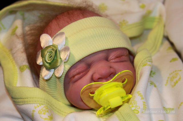 Стеша Одуванчик