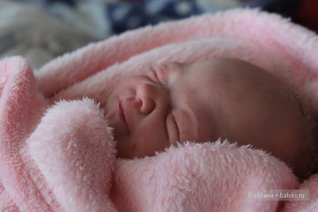 Стеша Одуванчик