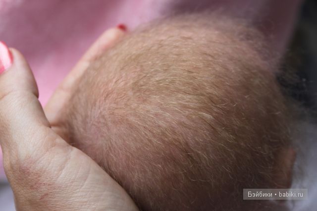 Стеша Одуванчик