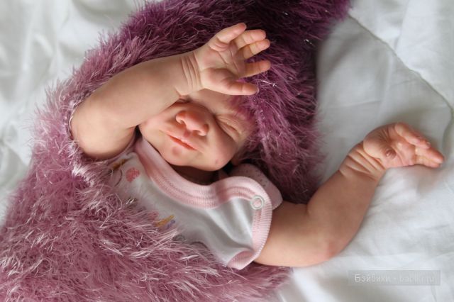 Стеша Одуванчик