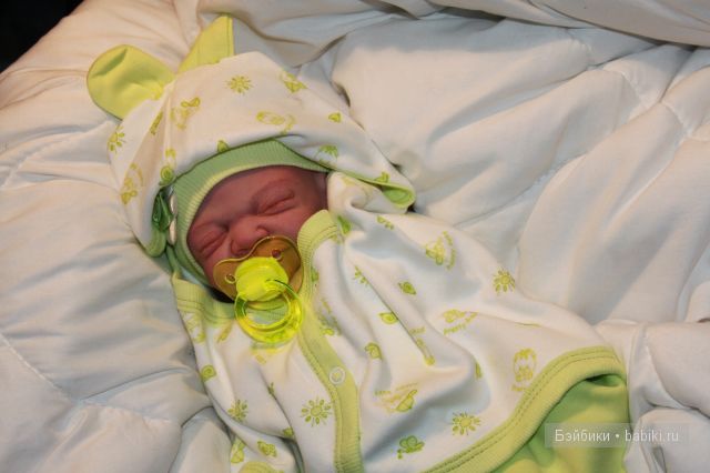 Стеша Одуванчик