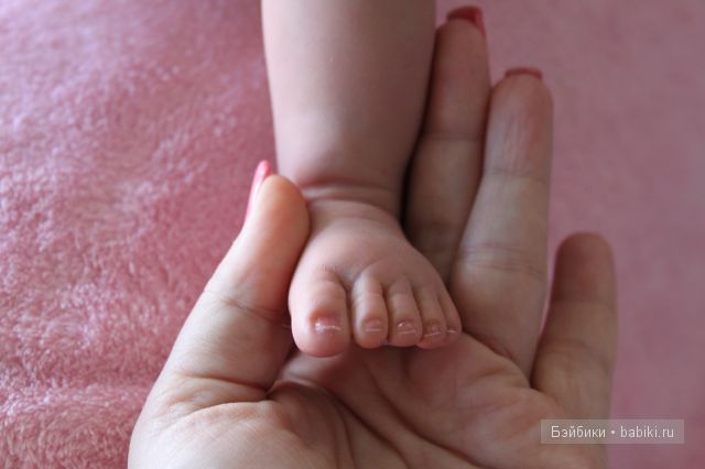 Пельмешка №6