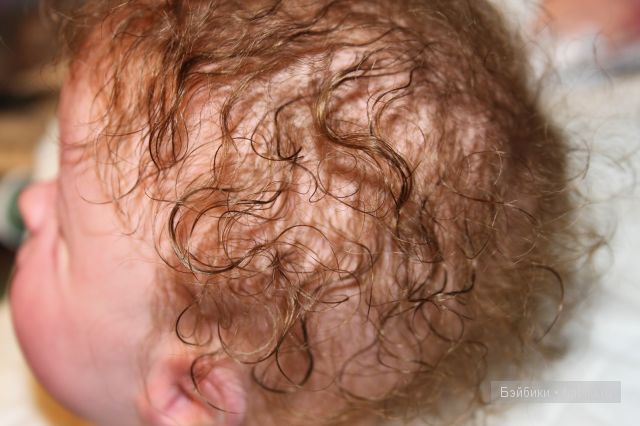 ХомячОк реборн Сёмка. Laura Lee Wambach для MasterPiece Gallery