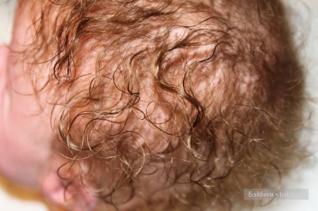 ХомячОк реборн Сёмка. Laura Lee Wambach для MasterPiece Gallery