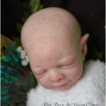 Little Pixie ROSE FAIRY very LE Reborn kit by Shawna Clymer