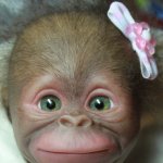 Бонька, обезьянка реборн Элины Кудрявцевой