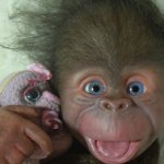 Манюня - обезьянка реборн Элины Кудрявцевой