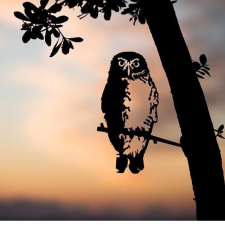 Это так красиво!