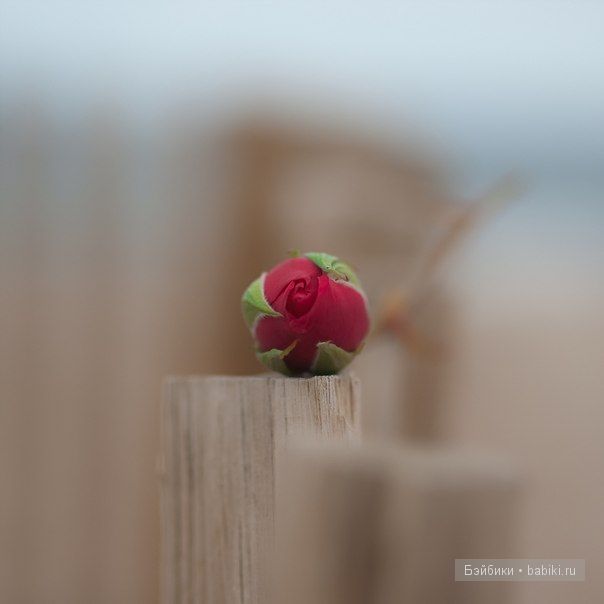 Ретро. Прекрасная танцовщица от Pamela Erff и маленькая сестричка