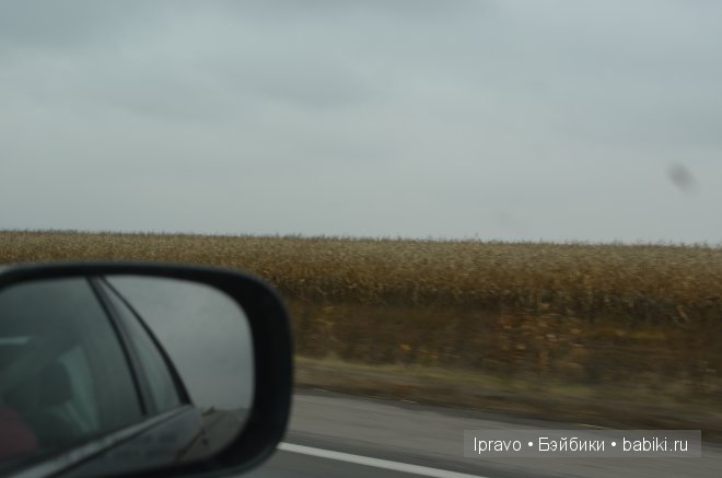 Моя поездка на выставку "VI Международный салон Модна лялька" Киев | Бэйбики Моя поездка на выставку "VI Международный салон Модна лялька" Киев (фото 3)