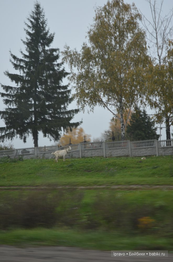Моя поездка на выставку "VI Международный салон Модна лялька" Киев | Бэйбики Моя поездка на выставку "VI Международный салон Модна лялька" Киев (фото 4)