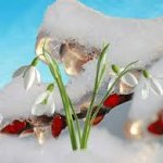 Весна.... как много в этом слове!