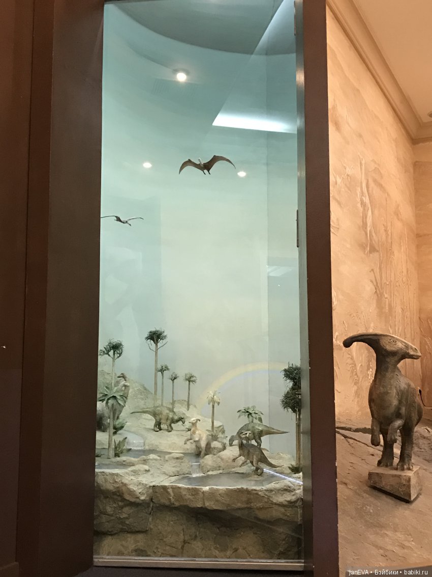 Ночь в Музее)))Казань — Туризм и путешествия: фотоотчеты из поездок