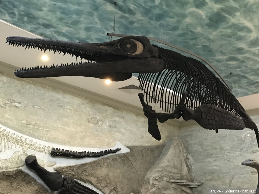 Ночь в Музее)))Казань — Туризм и путешествия: фотоотчеты из поездок