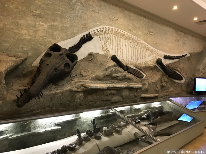 Ночь в Музее)))Казань — Туризм и путешествия: фотоотчеты из поездок