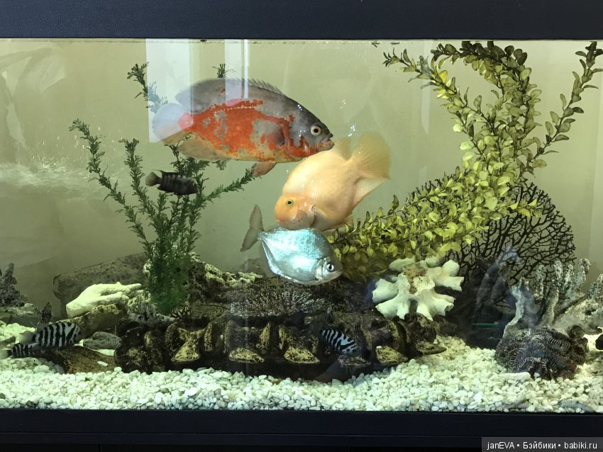 Ночь в Музее)))Казань — Туризм и путешествия: фотоотчеты из поездок