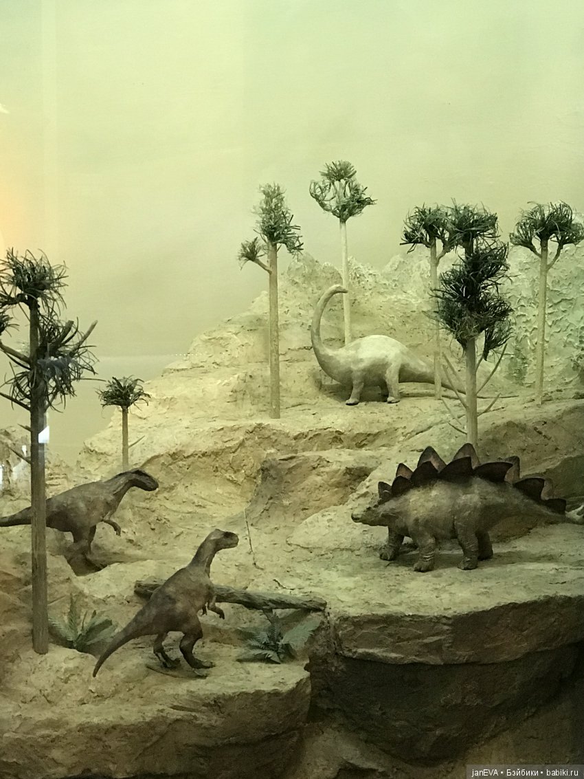 Ночь в Музее)))Казань — Туризм и путешествия: фотоотчеты из поездок