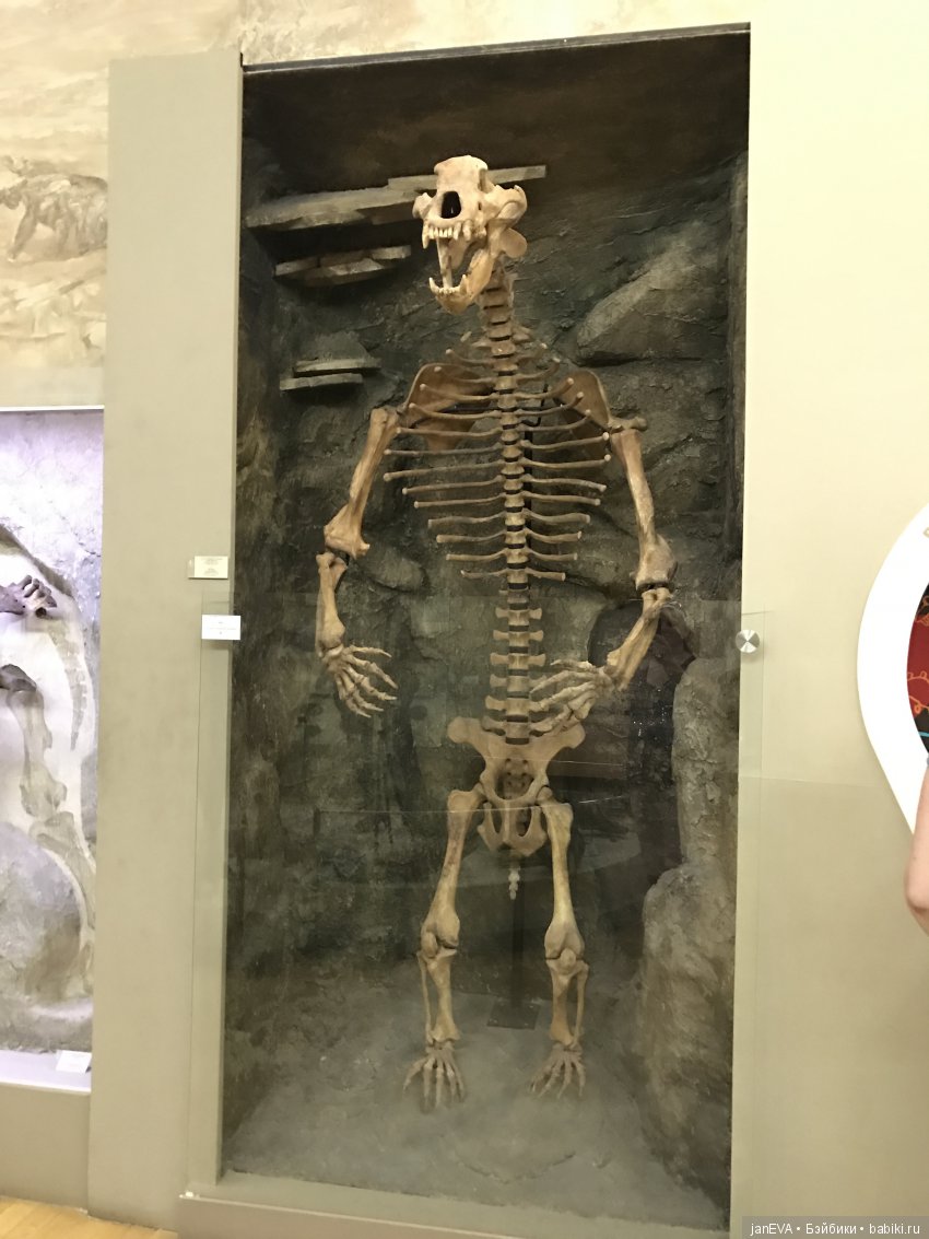 Ночь в Музее)))Казань — Туризм и путешествия: фотоотчеты из поездок