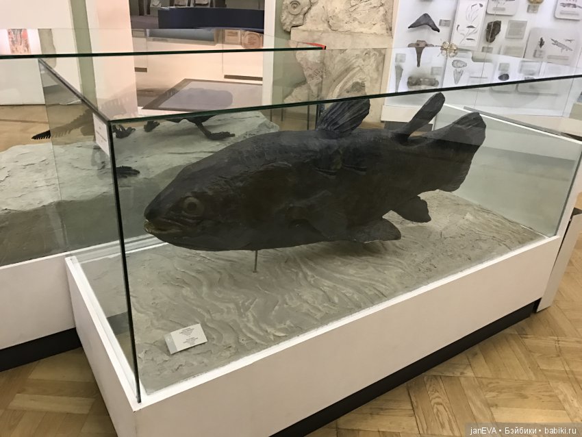 Ночь в Музее)))Казань — Туризм и путешествия: фотоотчеты из поездок