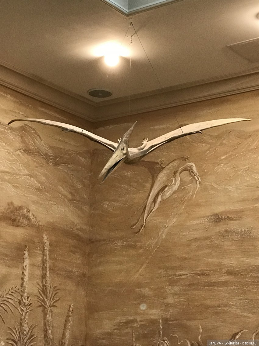 Ночь в Музее)))Казань — Туризм и путешествия: фотоотчеты из поездок