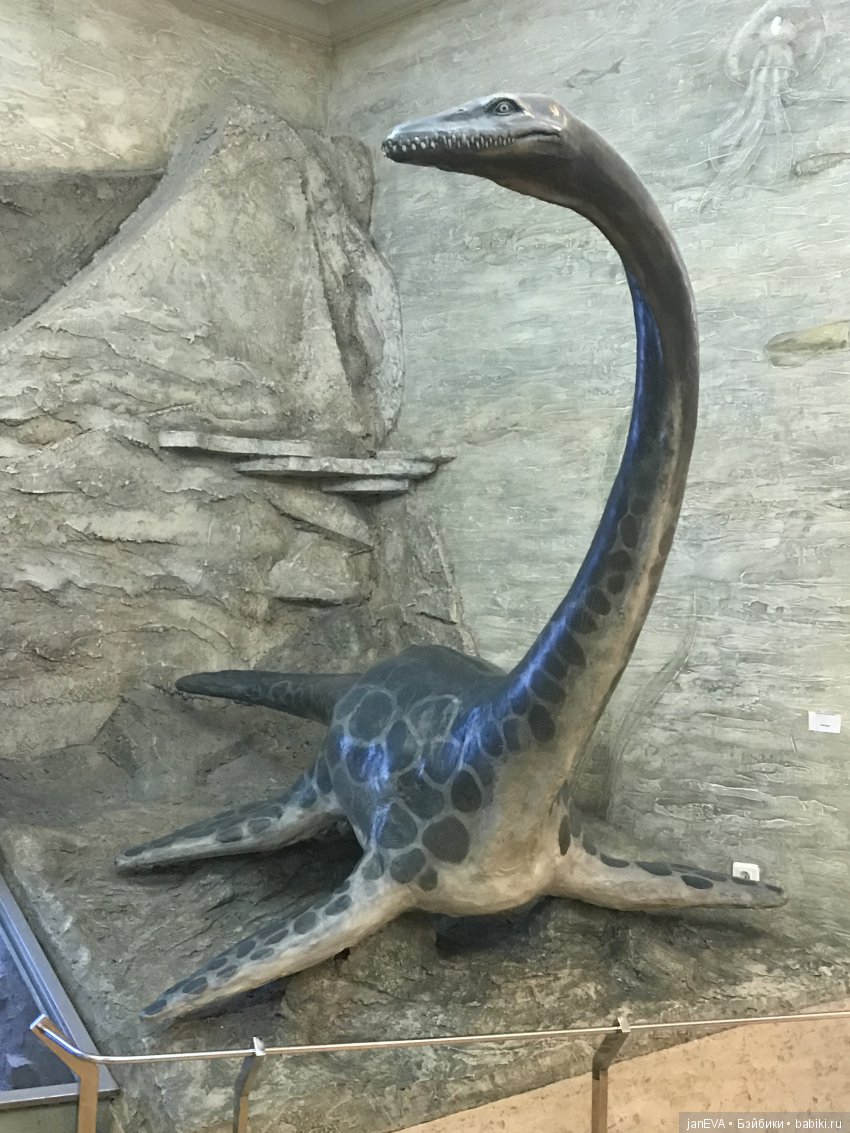 Ночь в Музее)))Казань — Туризм и путешествия: фотоотчеты из поездок