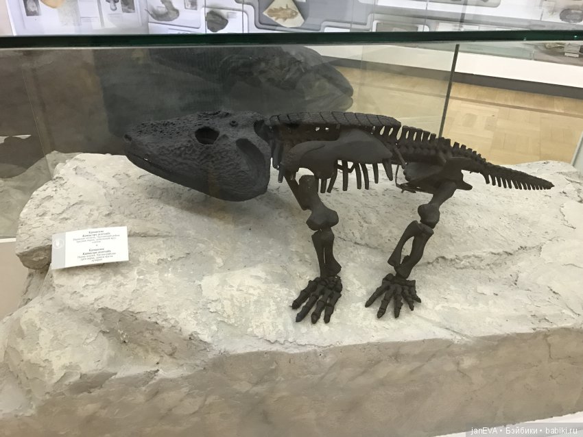 Ночь в Музее)))Казань — Туризм и путешествия: фотоотчеты из поездок