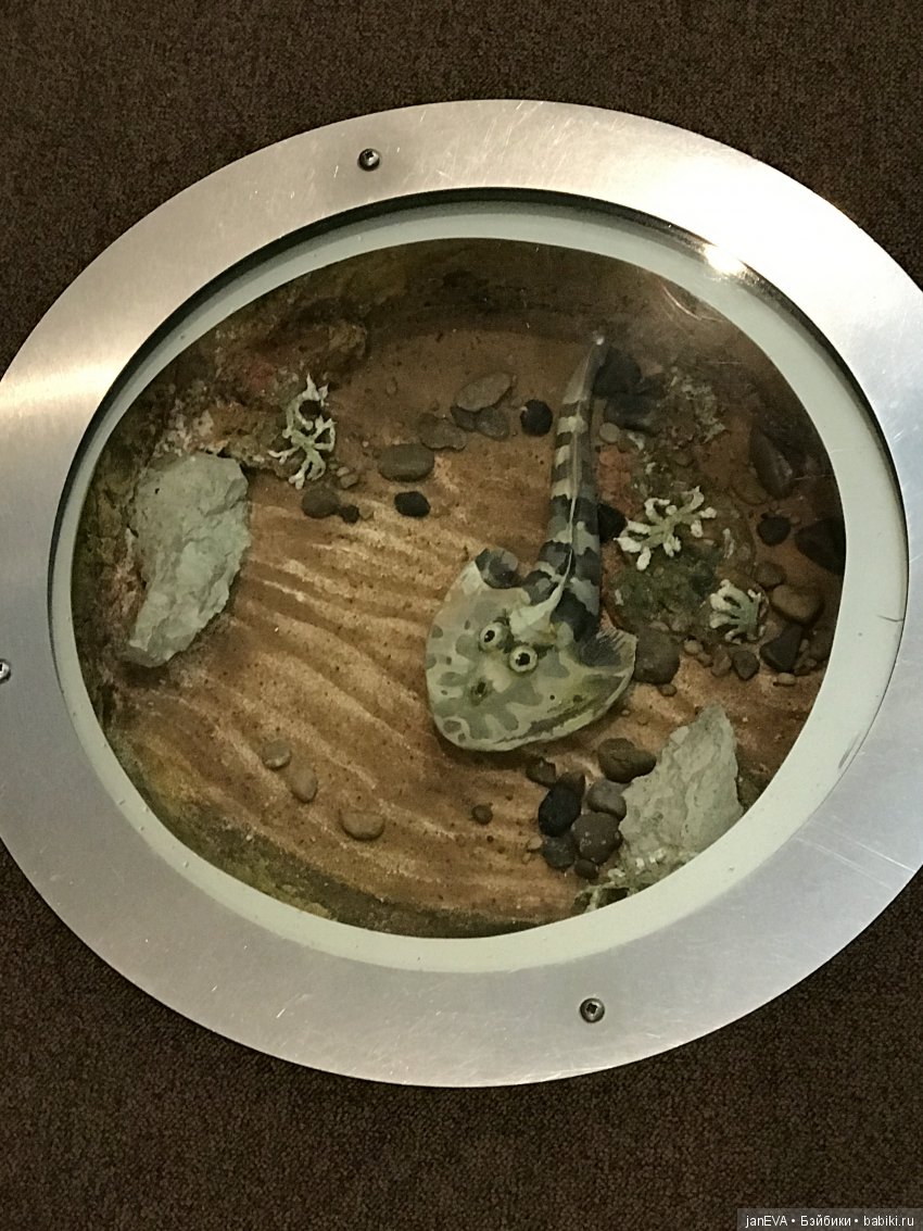 Ночь в Музее)))Казань — Туризм и путешествия: фотоотчеты из поездок