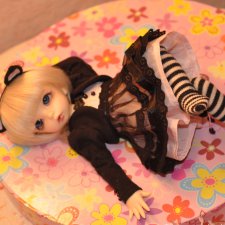 Кошечка.Little Fee Ante