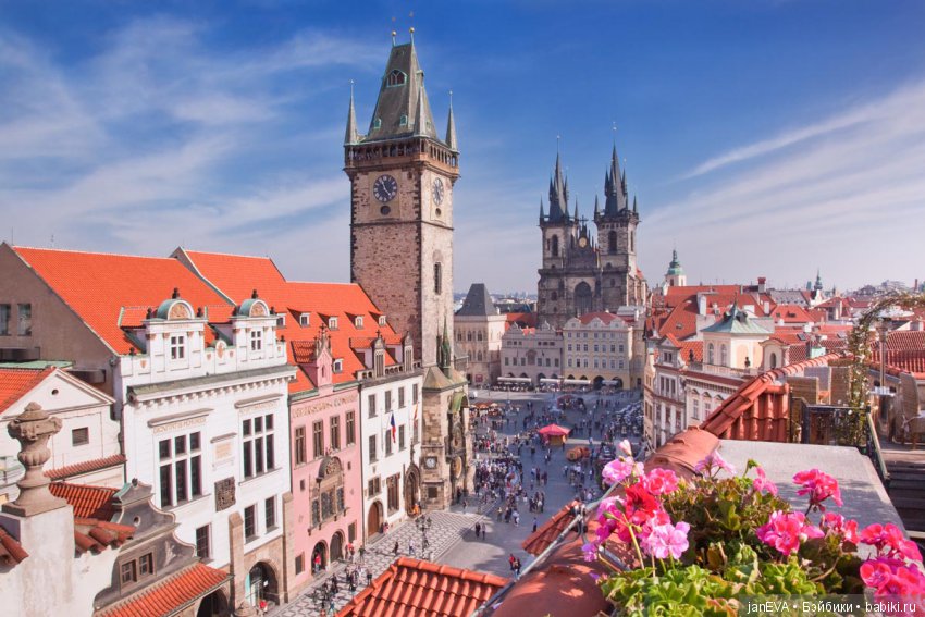 Мисс Бэйбики 2018.Топик-презентация (фото 6)