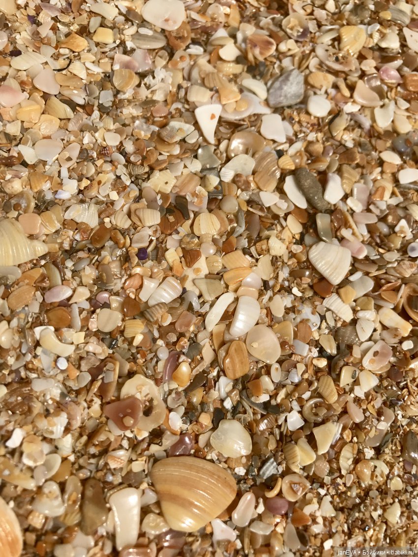 Путешествие одной феечки по Крыму.Часть 1 (фото 7)