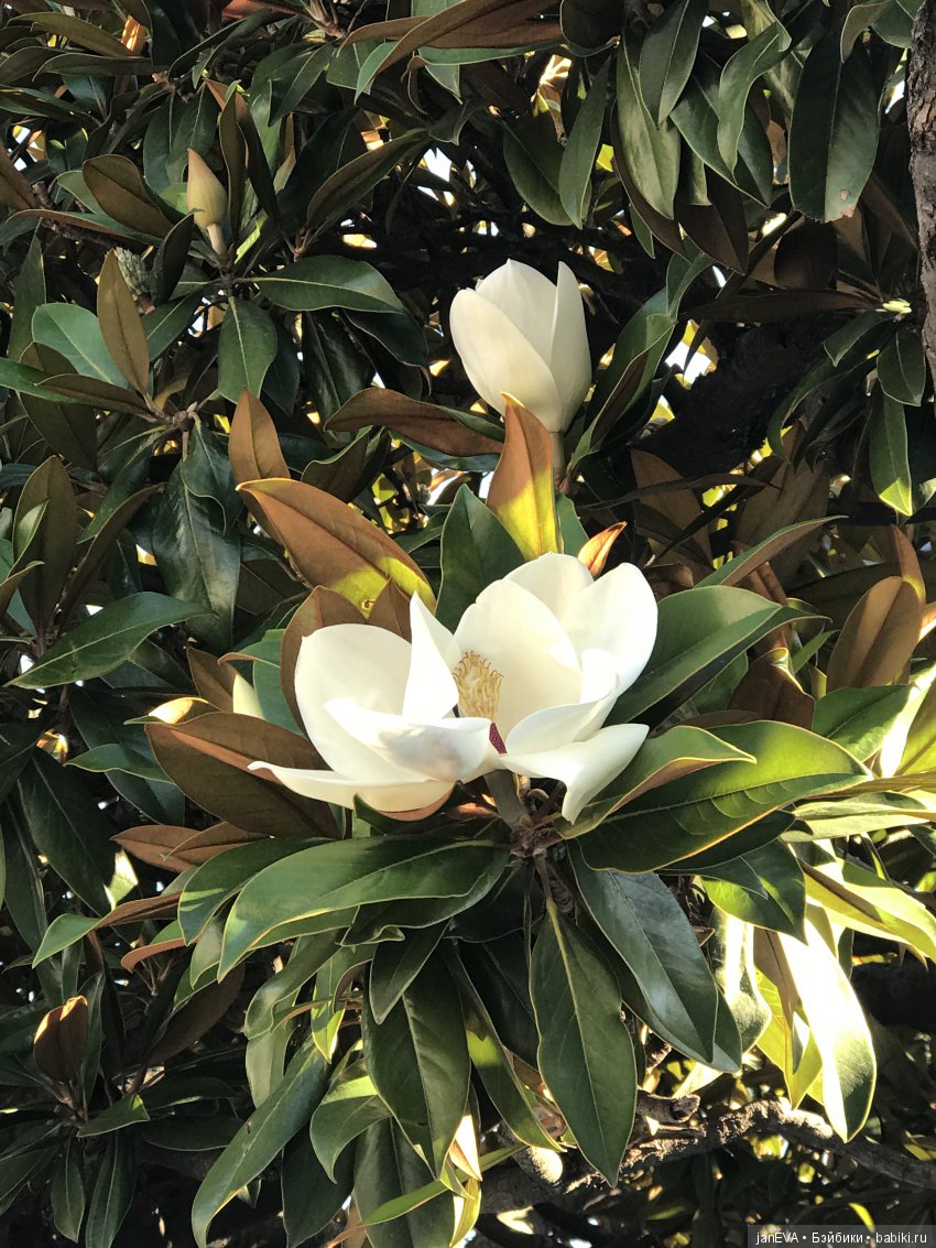 Путешествие одной феечки по Крыму. Часть 2 (фото 7)