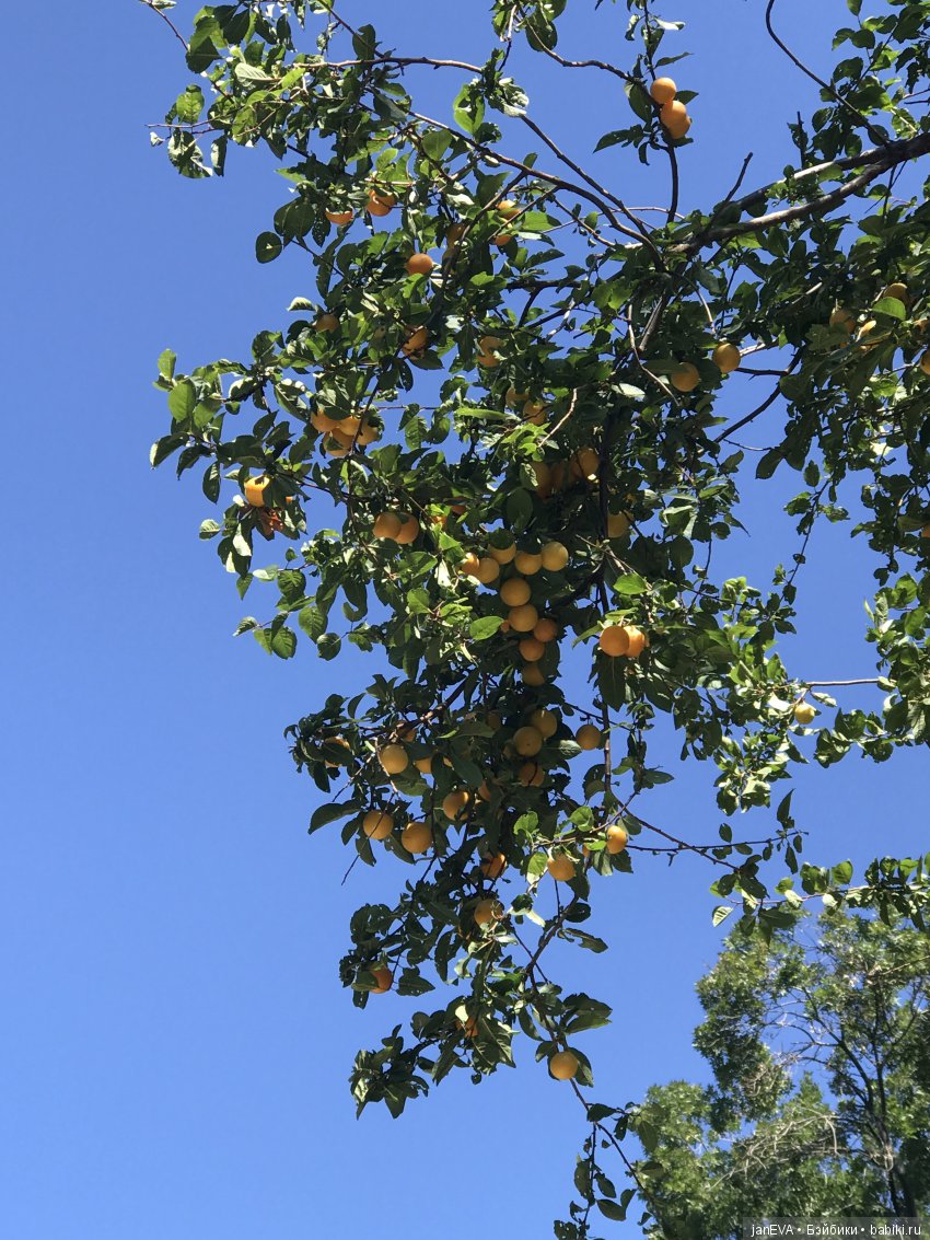 Путешествие одной феечки по Крыму. Часть 2