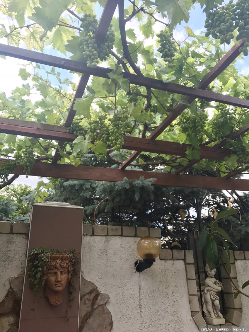 Путешествие одной феечки по Крыму.Часть 1