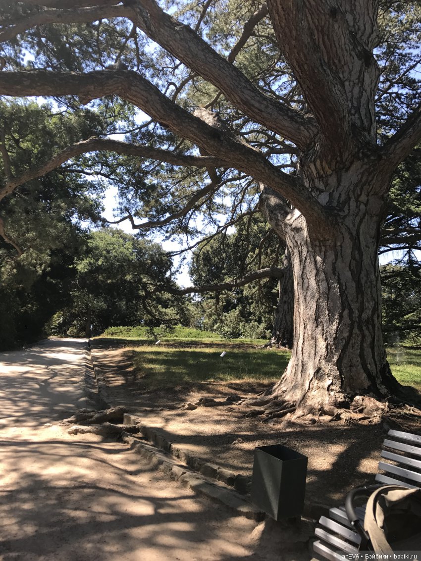 Воронцовский дворец в Крыму