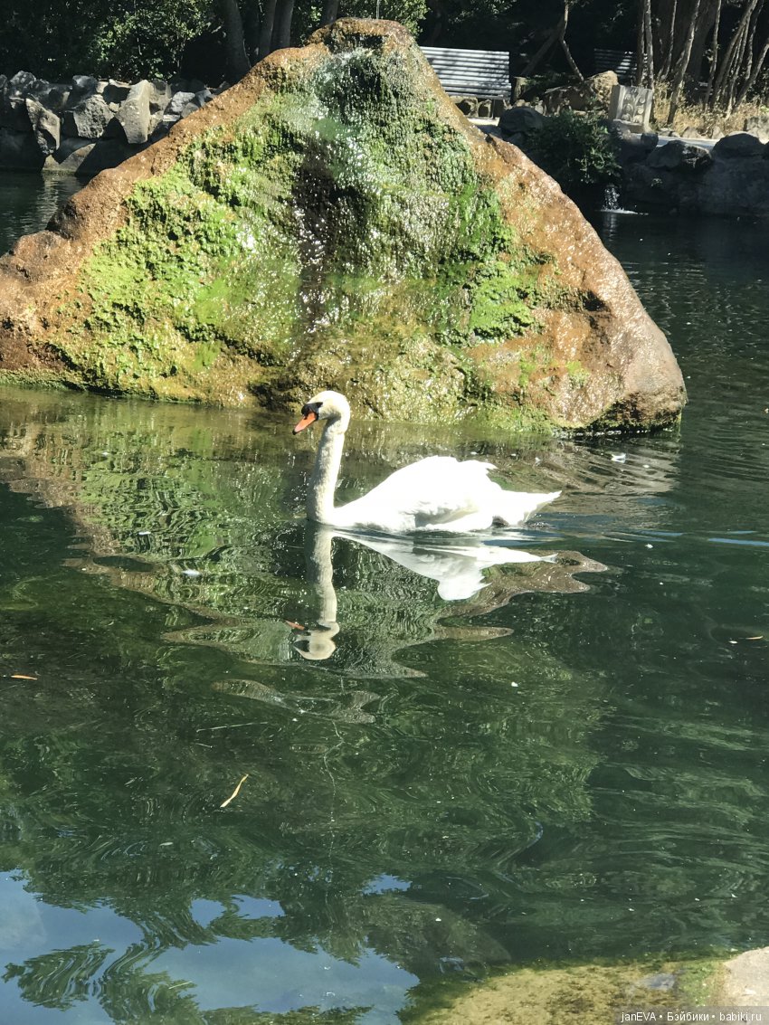 Воронцовский дворец в Крыму
