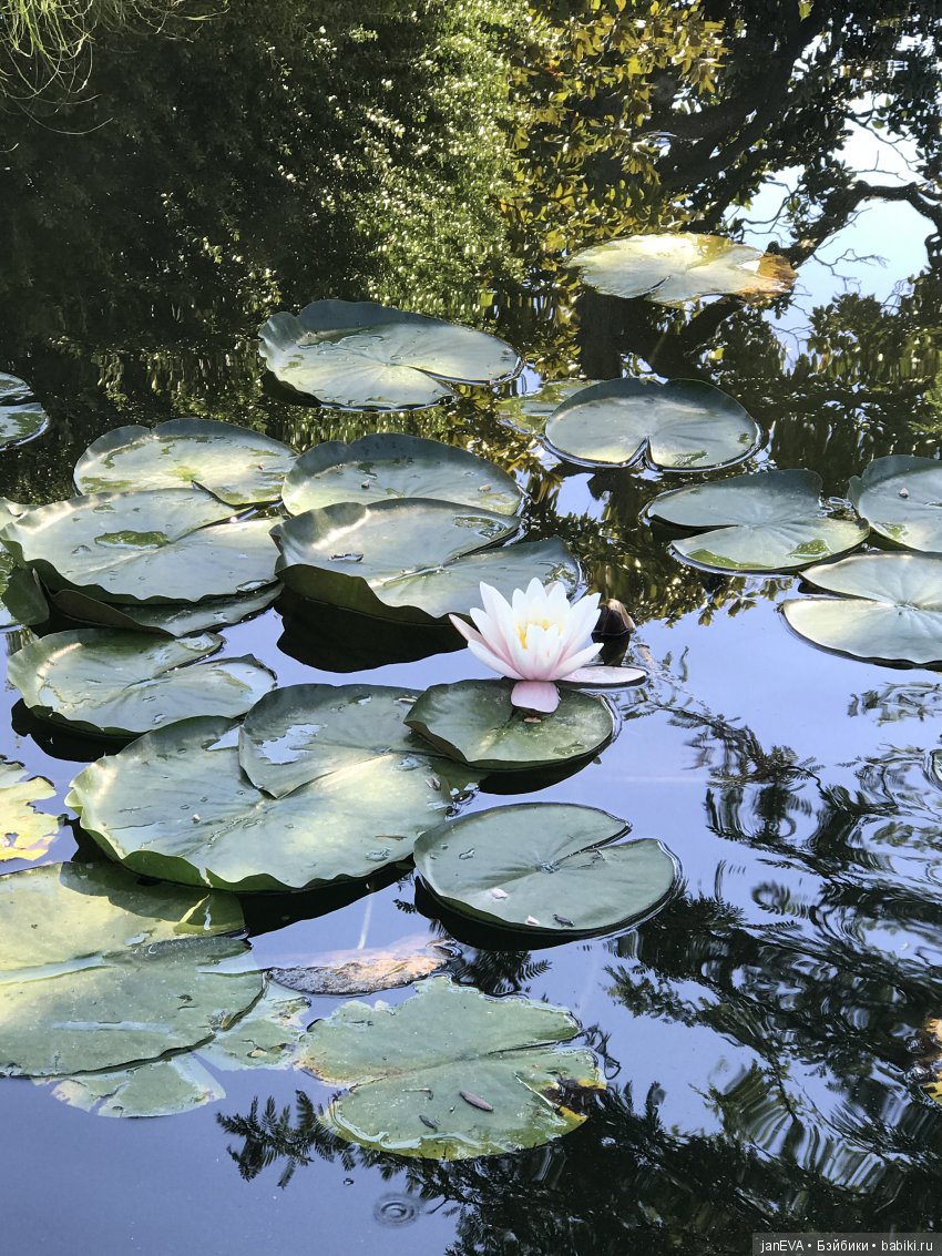 Воронцовский дворец в Крыму (фото 7)